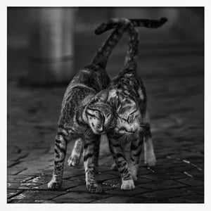 Tablou înramat „Untitled” de nebula