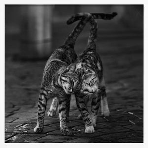 Tablou înramat „Untitled” de nebula