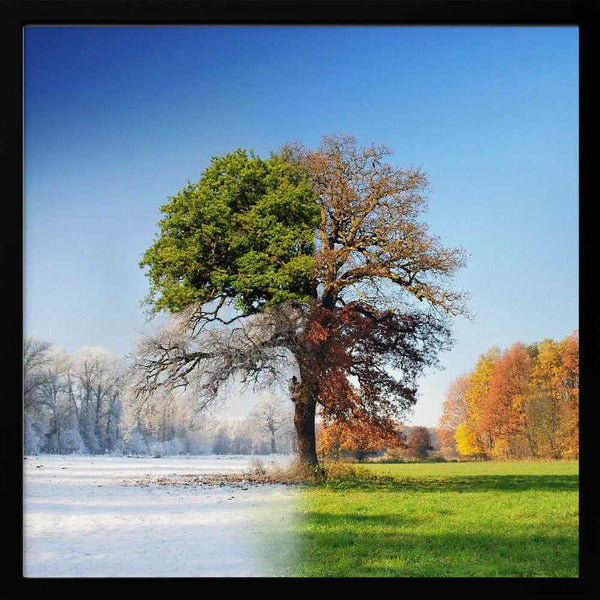 Tablou înramat „4 seasons” de Adam Brzuszek