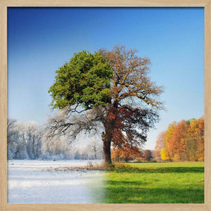 Tablou înramat „4 seasons” de Adam Brzuszek