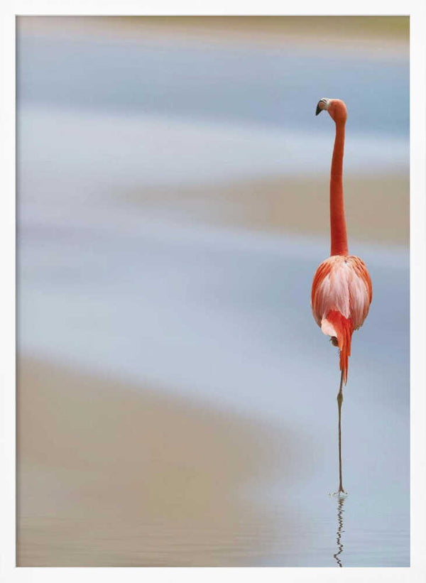 Tablou înramat „I” de Anna Cseresnjes