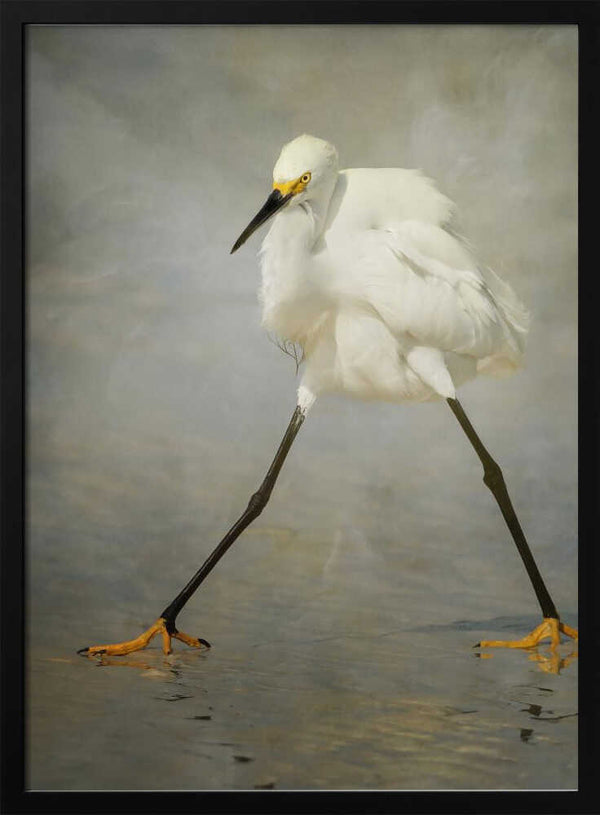 Tablou înramat „The Rock Star” de Alfred Forns