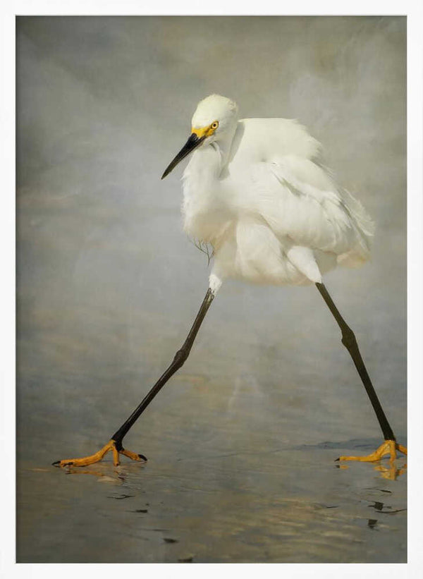 Tablou înramat „The Rock Star” de Alfred Forns