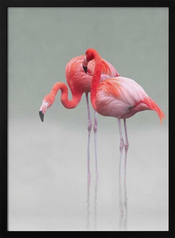 Tablou înramat „just we two ...” de Anna Cseresnjes