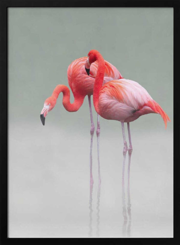 Tablou înramat „just we two ...” de Anna Cseresnjes