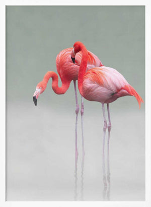 Tablou înramat „just we two ...” de Anna Cseresnjes
