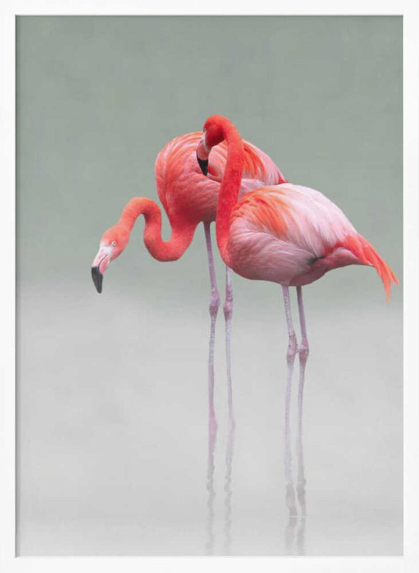 Tablou înramat „just we two ...” de Anna Cseresnjes