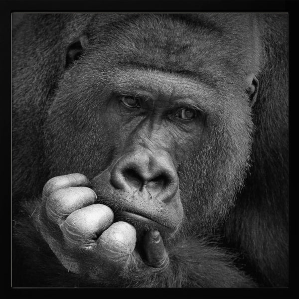 Tablou înramat „I had a Dream” de Antje Wenner-Braun