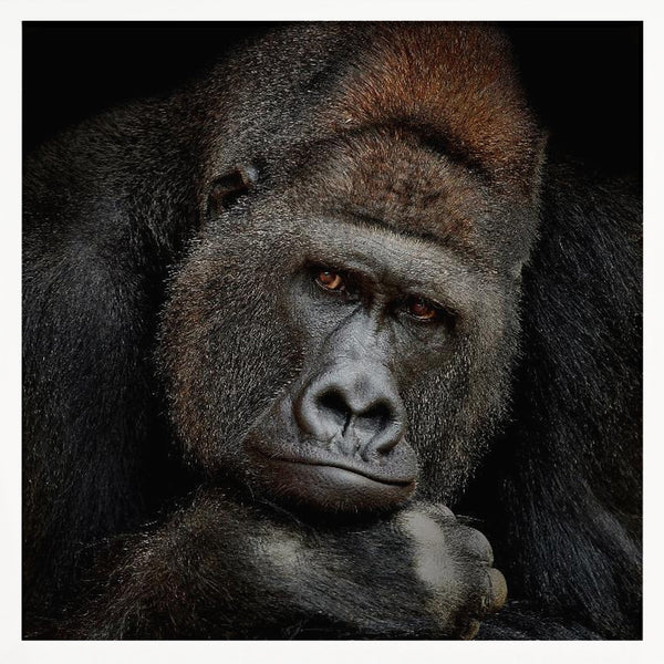 Tablou înramat „ONE MOMENT IN CONTACT” de Antje Wenner-Braun