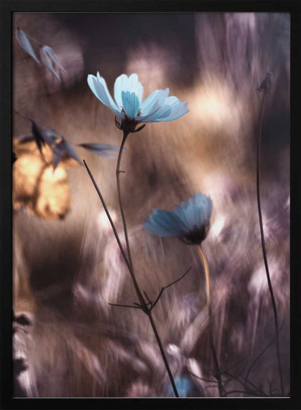 Tablou înramat „Lueur d'Automne” de Fabien BRAVIN