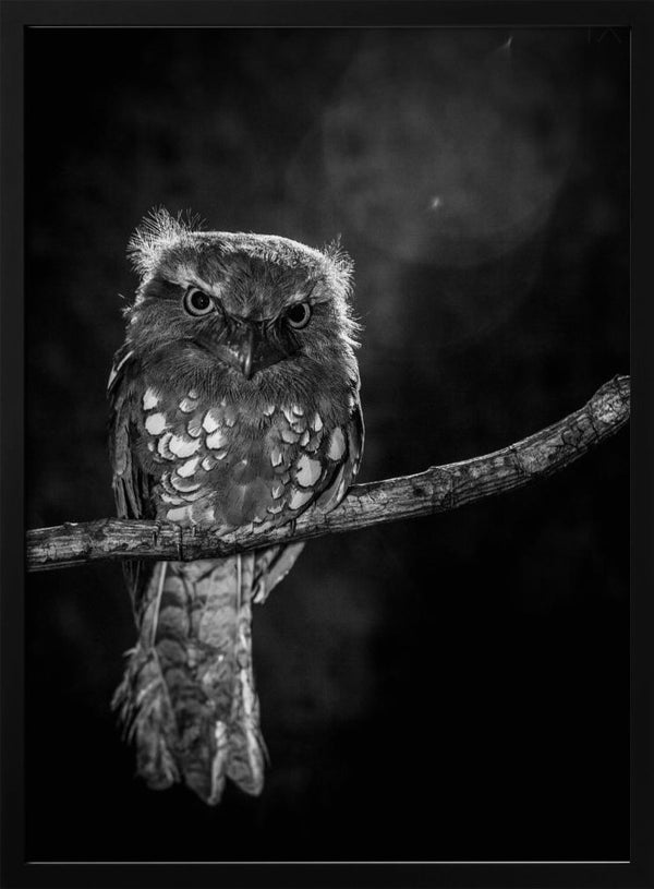 Tablou înramat „Alone in the night” de wilianto