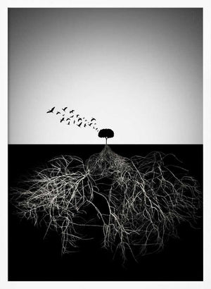 Tablou înramat „Do not judge according to appearance” de Souren  Arslanian