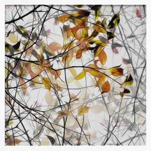 Tablou înramat „autumn song” de Gilbert Claes
