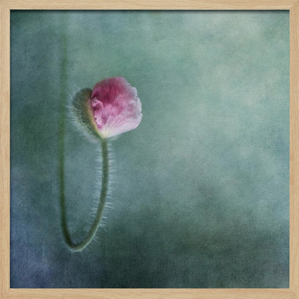 Tablou înramat „Trust” de Priska Wettstein