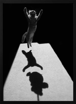 Tablou înramat „Edgar the great” de Jure Kravanja