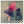 Tablou înramat „Hop skip and jump” de Mel Brackstone