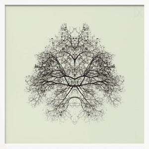 Tablou înramat „Rorschach Test” de Nadav Jonas