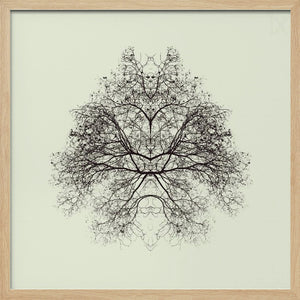Tablou înramat „Rorschach Test” de Nadav Jonas