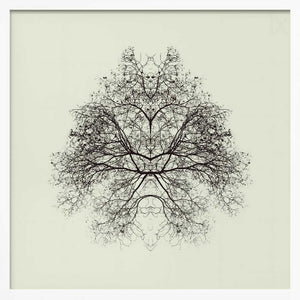 Tablou înramat „Rorschach Test” de Nadav Jonas