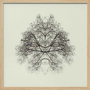 Tablou înramat „Rorschach Test” de Nadav Jonas