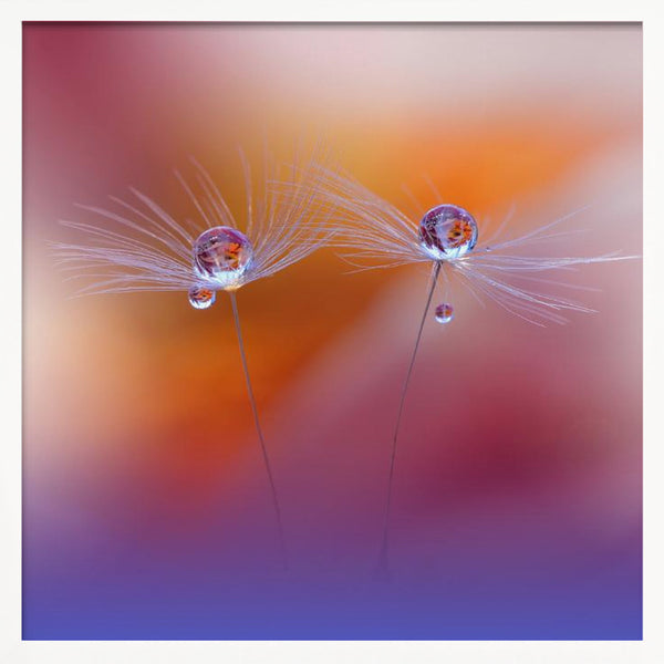 Tablou înramat „Two Worlds” de Juliana Nan