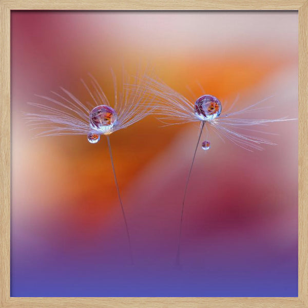 Tablou înramat „Two Worlds” de Juliana Nan