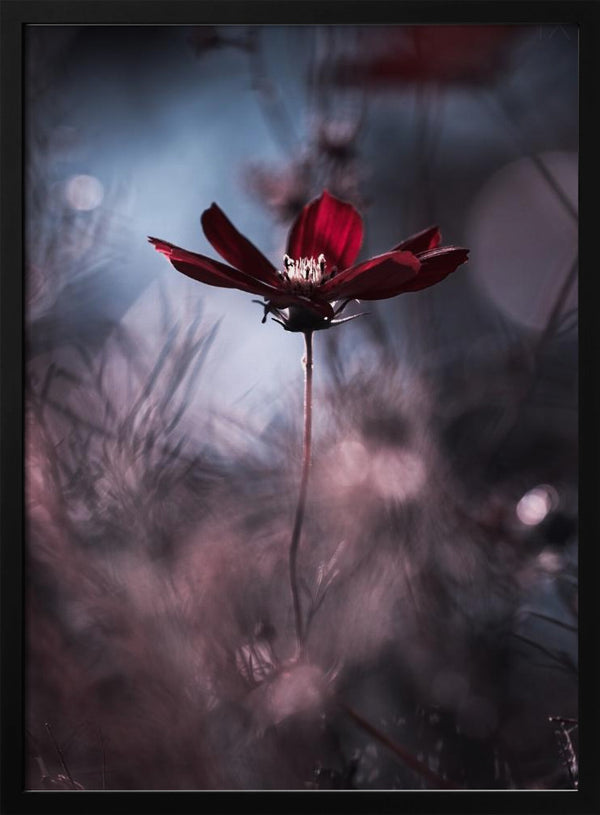 Tablou înramat „Tenue de soirée” de Fabien BRAVIN