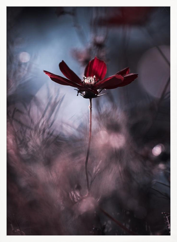 Tablou înramat „Tenue de soirée” de Fabien BRAVIN