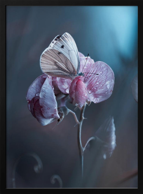 Tablou înramat „Tainted Love” de Fabien BRAVIN