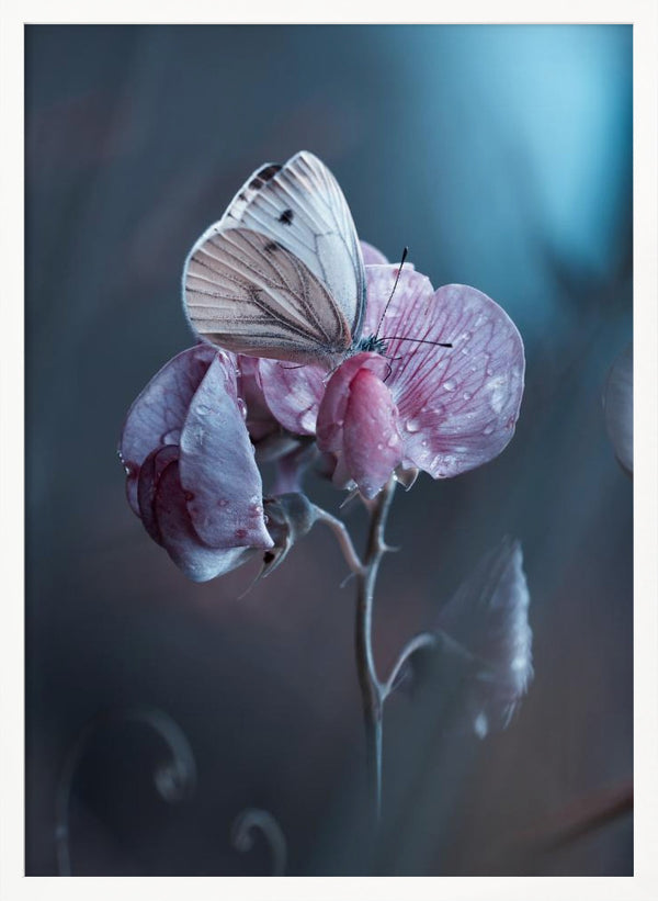 Tablou înramat „Tainted Love” de Fabien BRAVIN