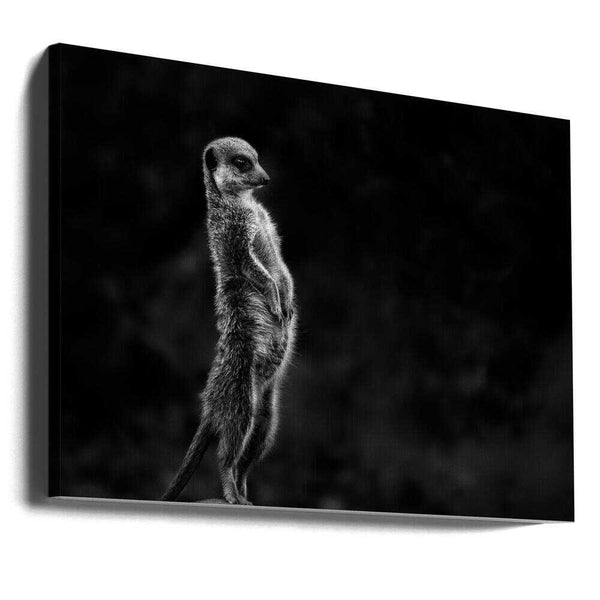 Tablou canvas „The meerkat” de Greetje van Son