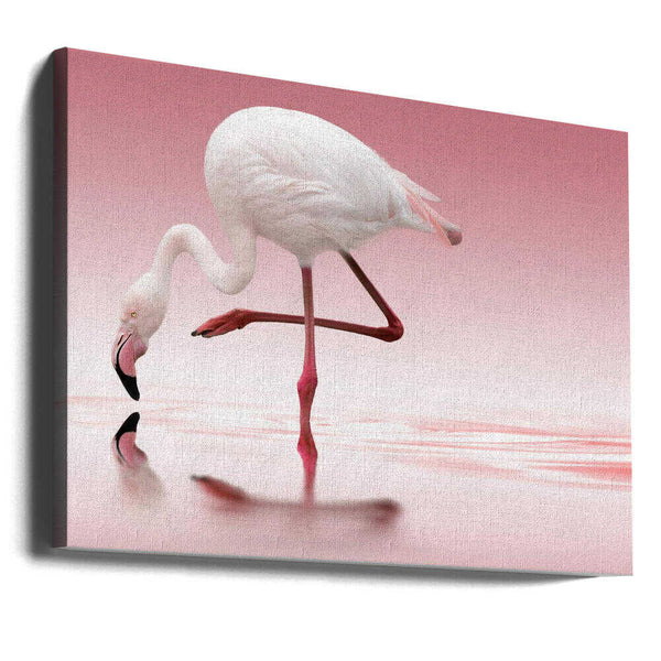 Tablou canvas „Flamingo” de Doris Reindl