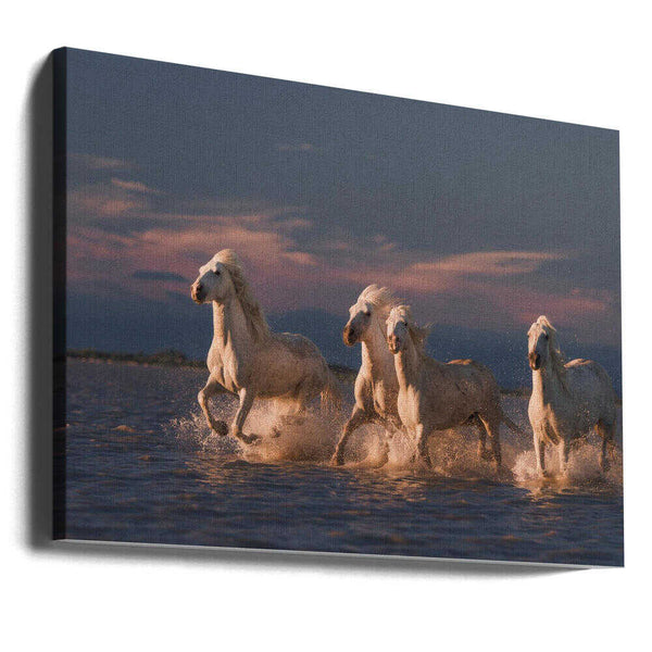 Tablou canvas „Angels of Camargue” de Rostovskiy Anton