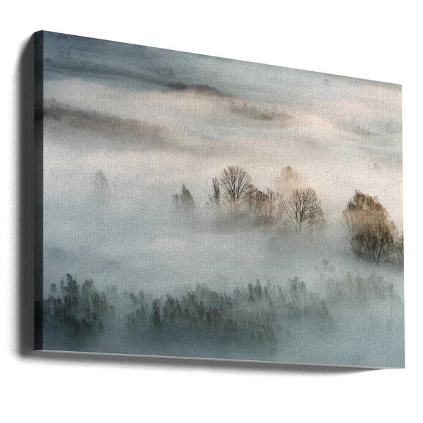 Tablou canvas „Winter fog” de Marco Galimberti