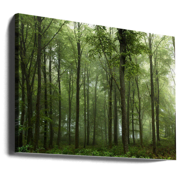 Tablou canvas „Forest...” de Leif Løndal