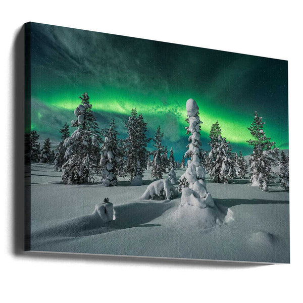 Tablou canvas „ polar night” de Raymond Hoffmann