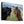 Tablou canvas „WILD SMILE” de Nir Amos
