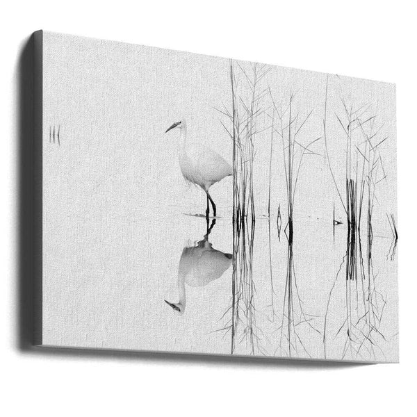 Tablou canvas „white” de Zhecho Planinski