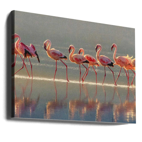 Tablou canvas „Flamingo” de Phillip Chang