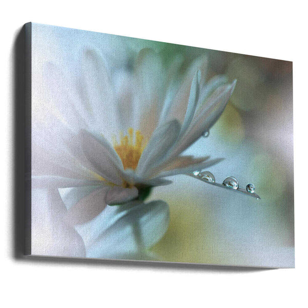 Tablou canvas „Light touch...” de Juliana Nan