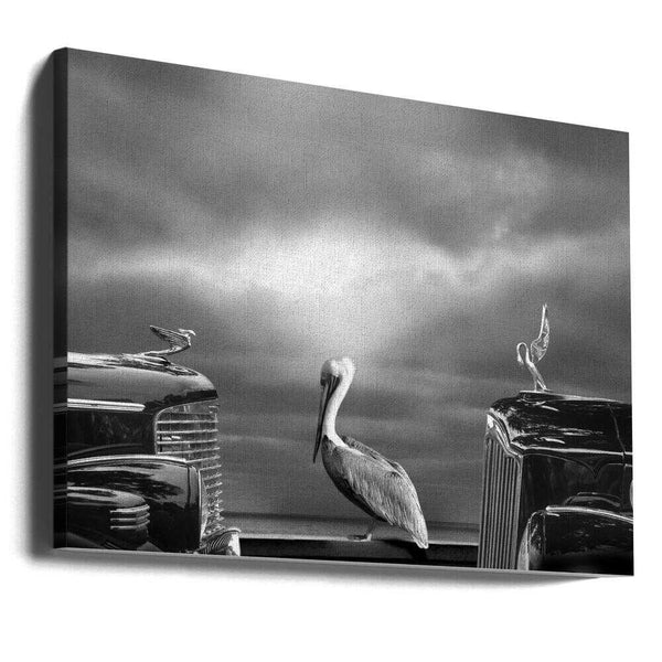 Tablou canvas „COMTEMPLATING THE PELICAN” de LARRY BUTTERWORTH