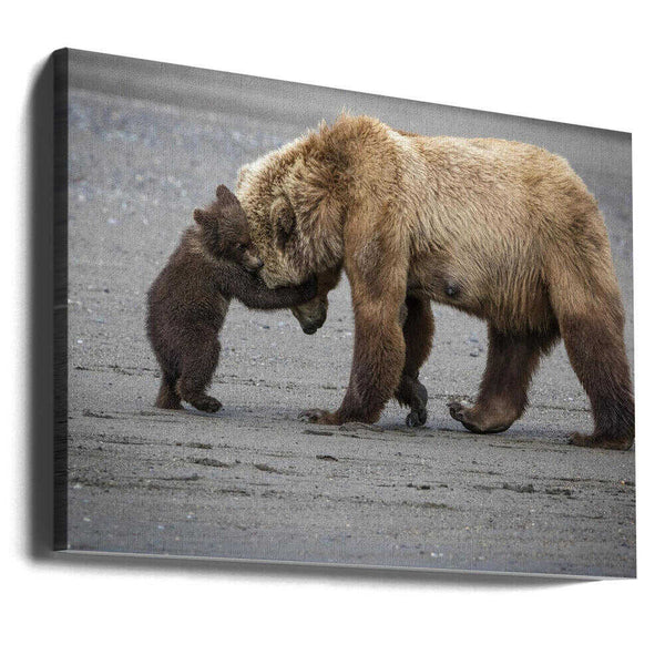 Tablou canvas „A Little Bear Hug” de Renee Doyle