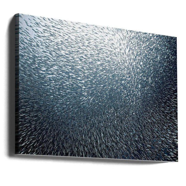 Tablou canvas „Sardines Firework” de Henry Jager
