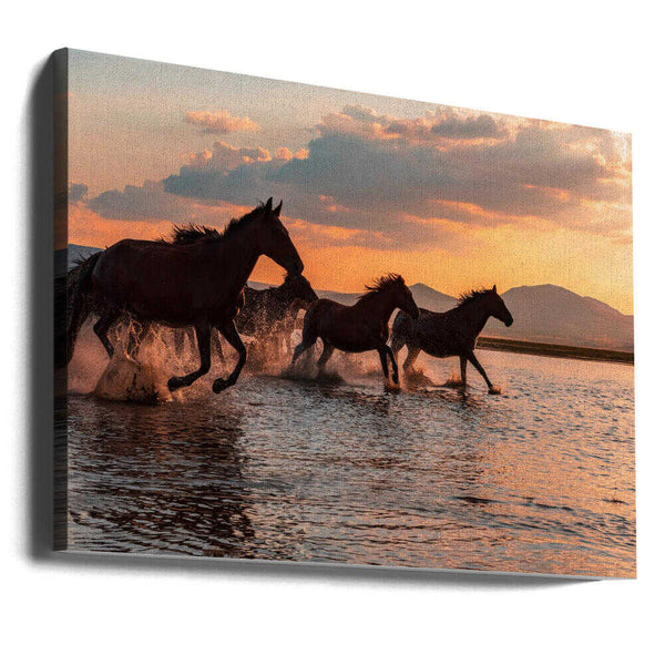 Tablou canvas „WATER HORSES” de BARKAN TEKDOGAN