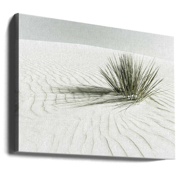 Tablou canvas „WHITE SANDS Vintage Dune” de Melanie Viola