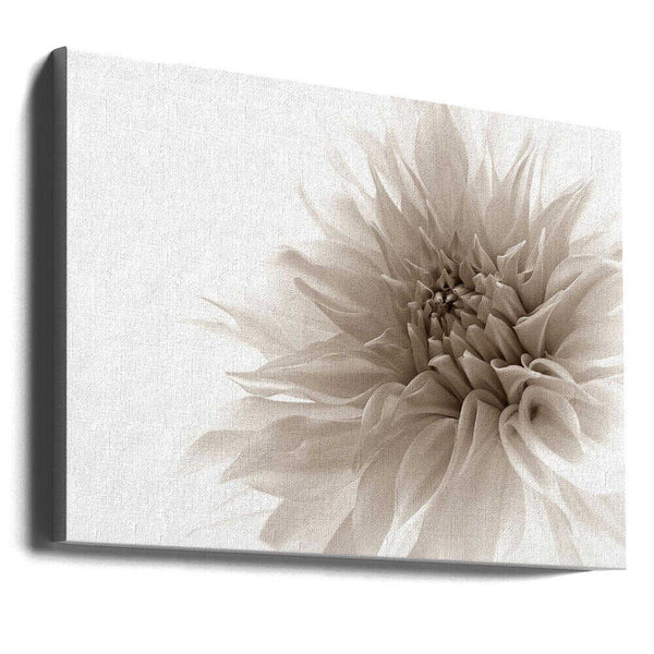 Tablou canvas „dignified” de Priska Wettstein