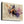 Tablou canvas „Bull Rider” de thomas chedeville