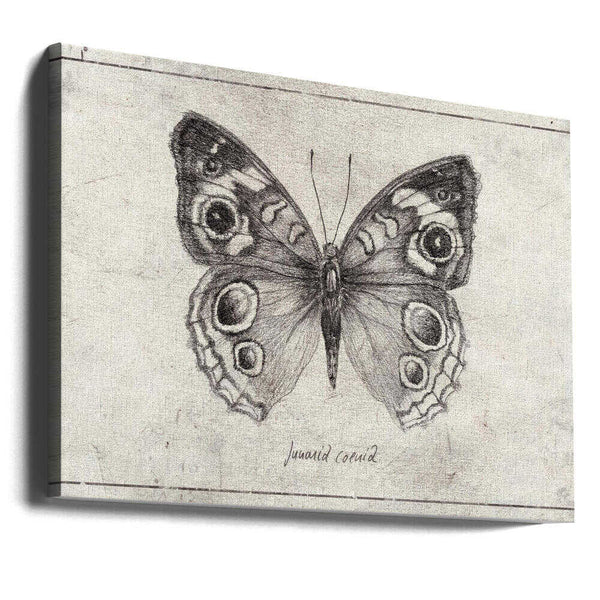 Tablou canvas „Butterfly Showcases Intricate Wing” de Mike Koubou