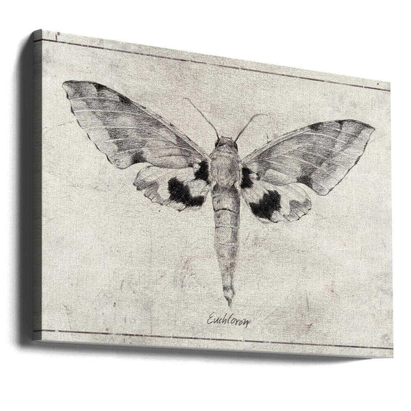 Tablou canvas „Wings of Elegance” de Mike Koubou