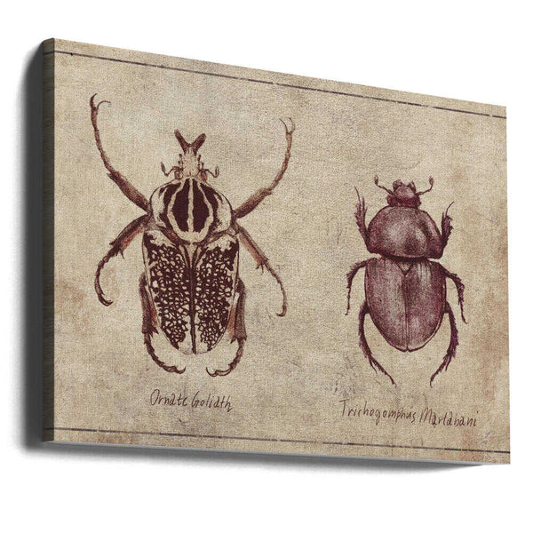 Tablou canvas „Insect Specimens” de Mike Koubou